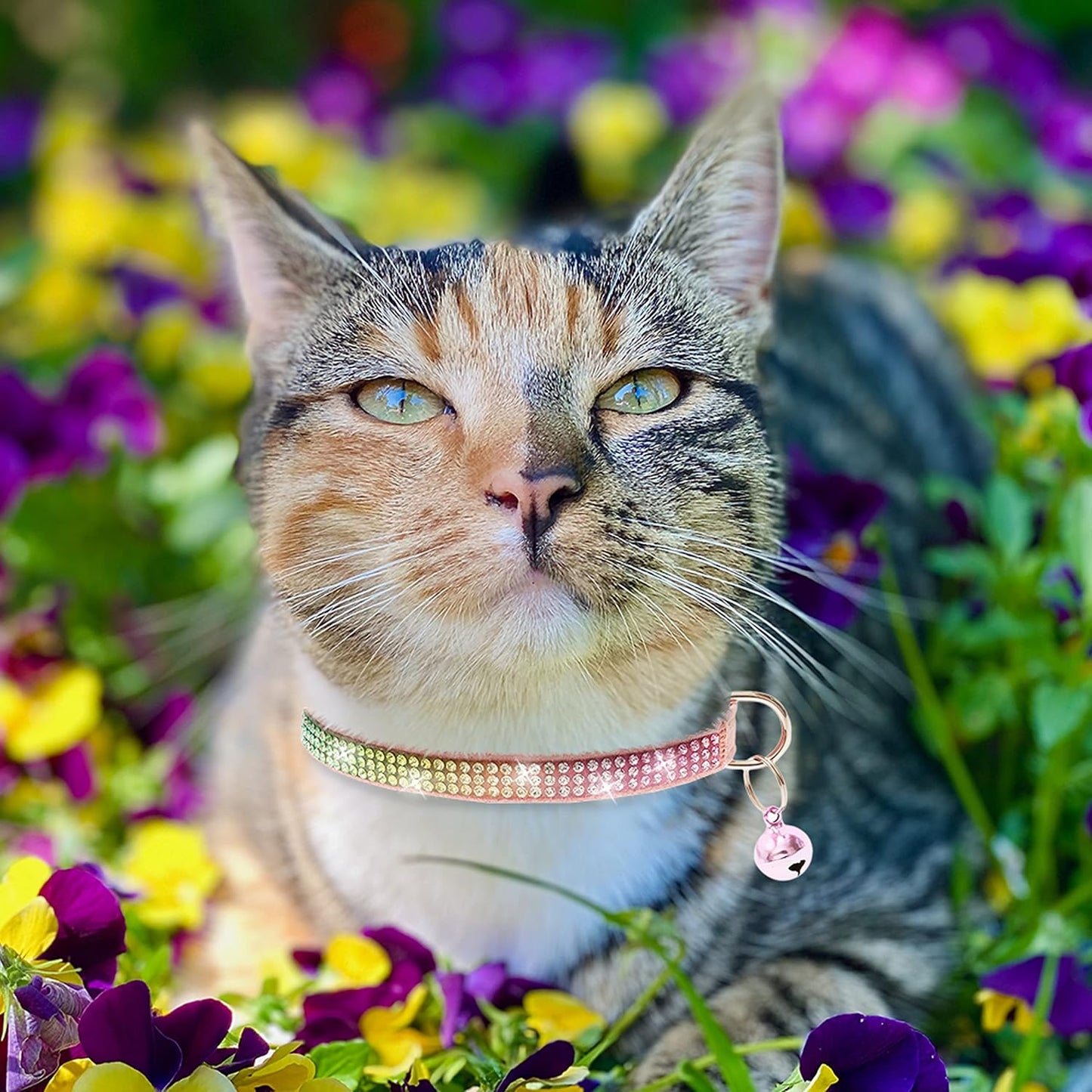 Breakaway Cat Collar with Bells, 3 Pack Rhinestone Pet Collars | Adjustable Bling Cute Adjustable Collars Pet Accessories for Girl & Boy Cats, Kitten, Puppy