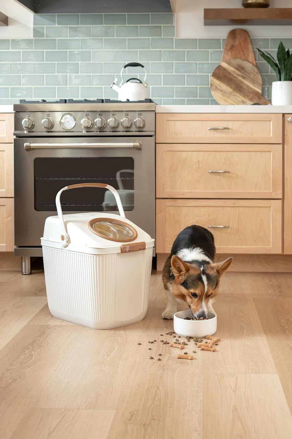Lightweight Airtight Pet Food Storage Container, Eco-Friendly Recycled Plastic with Easy-Access Lid, Holds up to 25 Lb Dry Dog or Cat Food