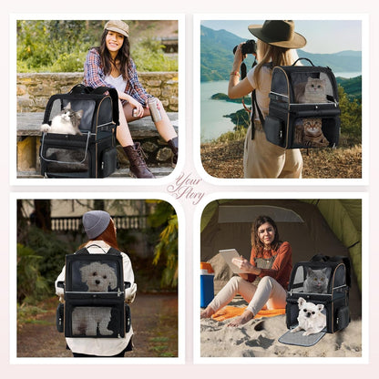 Double Cat Backpack Carrier for 2 Cats, Double-Compartment Pet Carrier Backpack for Two Small Cat or One Medium Cat, Cats Carrier Backpack Dog Carrier Backpack Fits up to 24 Lbs,Black