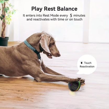Intelligent Teasing Dog Ball, Interactive Dog Toys, Random Rolling & Jumping, Dazzling Colorful Lights, Long Life 4H, Comes