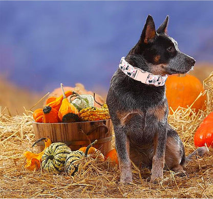 Dog Collars, Halloween Pet Collar Fall Dog Collar Ghost Print Pet Collar Durable Metal Collar Cute Boy Girl Dog Collars Adjustable Dog Collar for Large Dogs