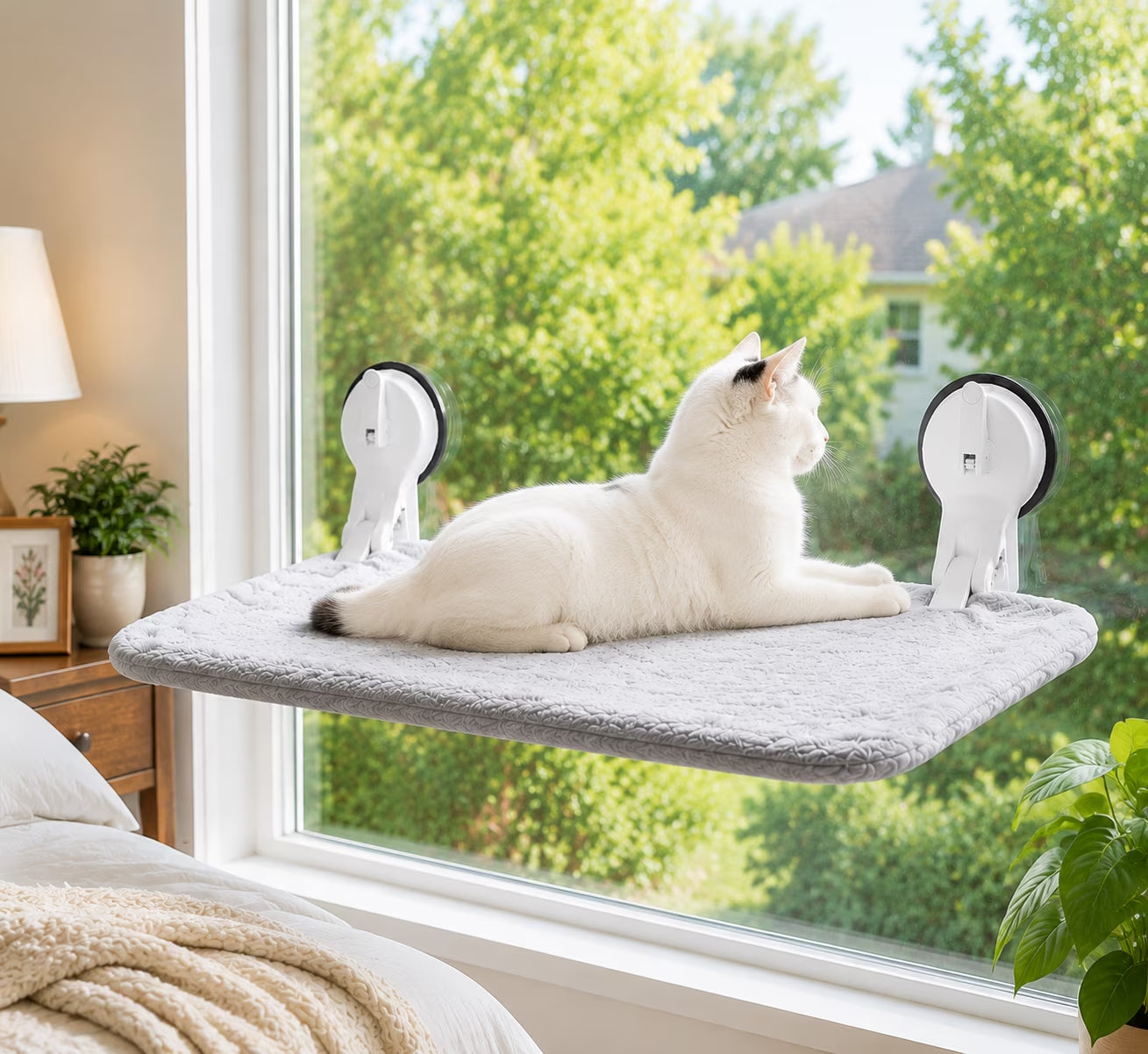 . Cat Window Hammock, Foldable Cat Window Perch with Lever Lock Suction Cups, Holds up to 50 Lbs, Washable Cover (M 1Pc)