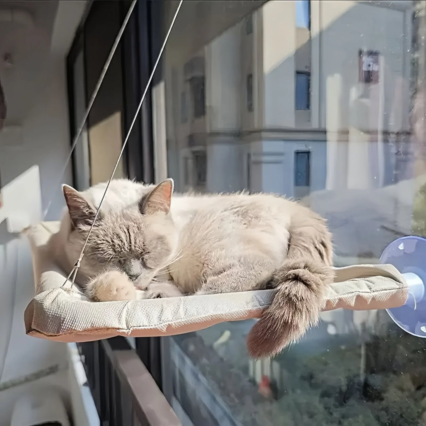 Cat Hammock Hanging Cat Bed Bearing Comfortable Cat Sunny Window Feline Naptime Seat Mount Kitten Climbing Frame Pet Product