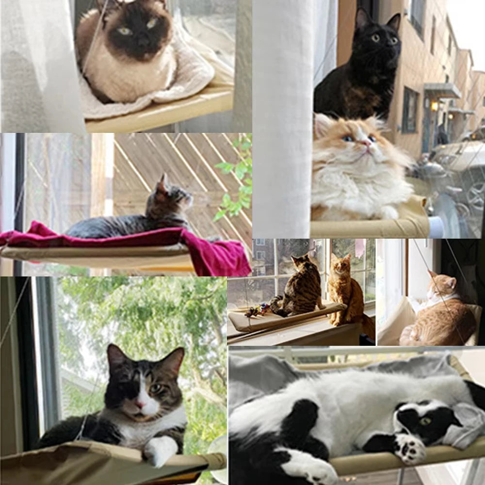 Cat Hammock Hanging Cat Bed Bearing Comfortable Cat Sunny Window Feline Naptime Seat Mount Kitten Climbing Frame Pet Product