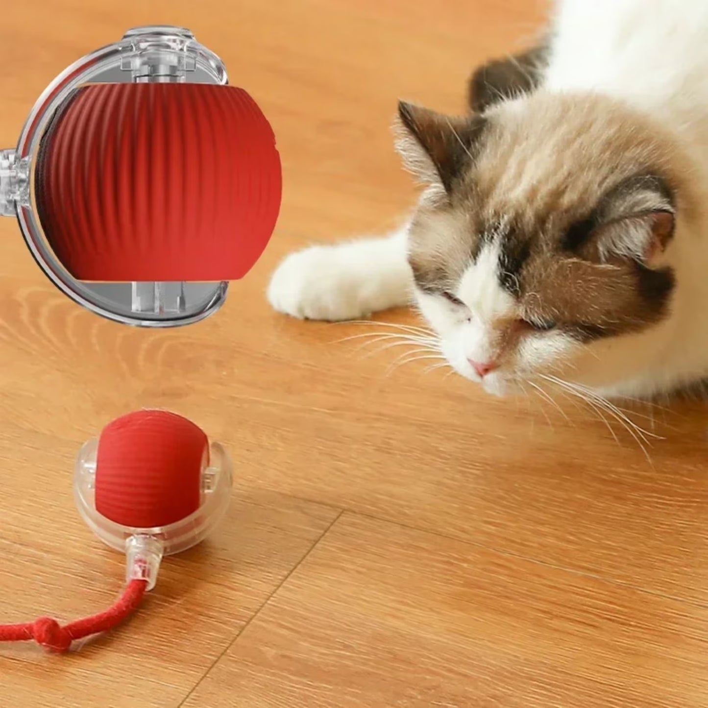 Cat Ball with a Tail Rope, Electric Self-Rolling Pet Funny Ball with LED Lights, Interactive Jumping Ball, Kittens, Puppies Toy (Red)