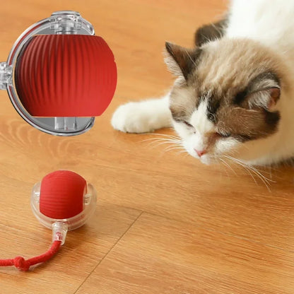 Cat Ball with a Tail Rope, Electric Self-Rolling Pet Funny Ball with LED Lights, Interactive Jumping Ball, Kittens, Puppies Toy (Red)