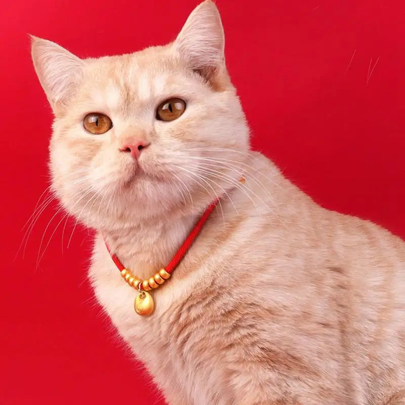 New Year Pet Collar Adjustable Dog Collar Chinese Gold Ingot Pet Collar New Year Necklace Cute Pet Costume Supplies Cat Collar