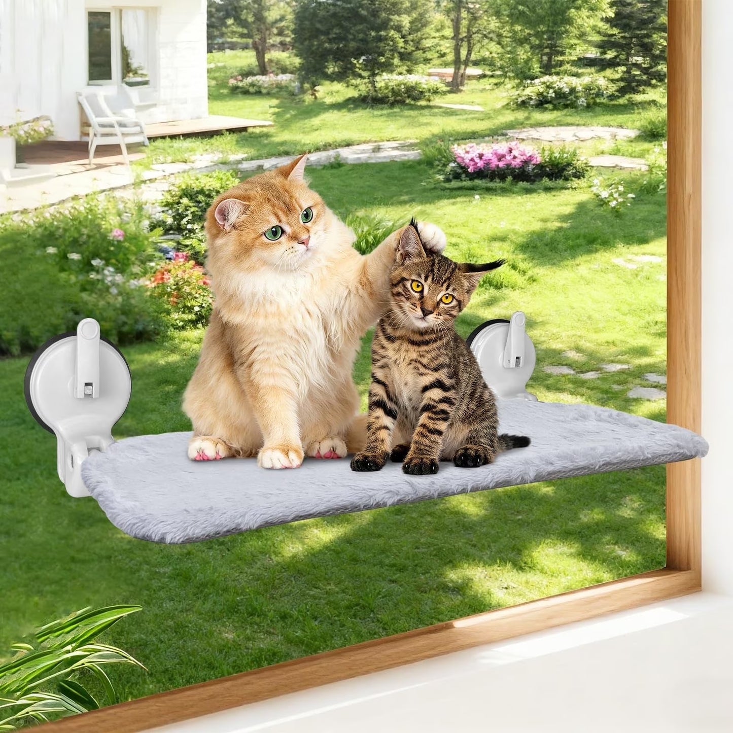 . Cat Window Hammock, Foldable Cat Window Perch with Lever Lock Suction Cups, Holds up to 50 Lbs, Washable Cover (M 1Pc)
