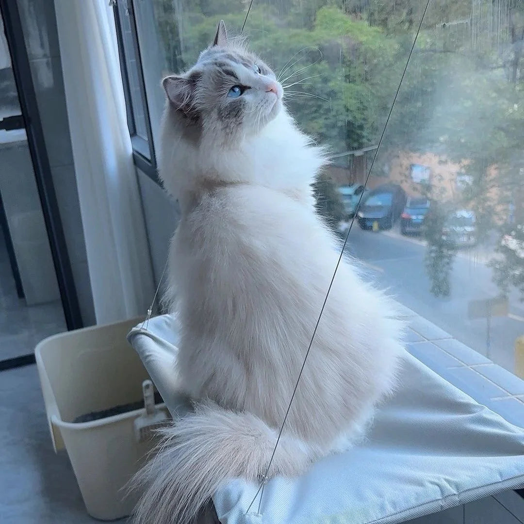 Cat Hammock Hanging Cat Bed Bearing Comfortable Cat Sunny Window Feline Naptime Seat Mount Kitten Climbing Frame Pet Product