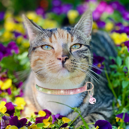 Breakaway Cat Collar with Bells, 3 Pack Rhinestone Pet Collars | Adjustable Bling Cute Adjustable Collars Pet Accessories for Girl & Boy Cats, Kitten, Puppy